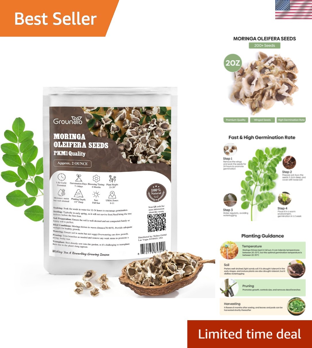 Moringa Seeds for Planting, 2 Ounce 140+ Seeds, 100% Natural Semillas de Mori…