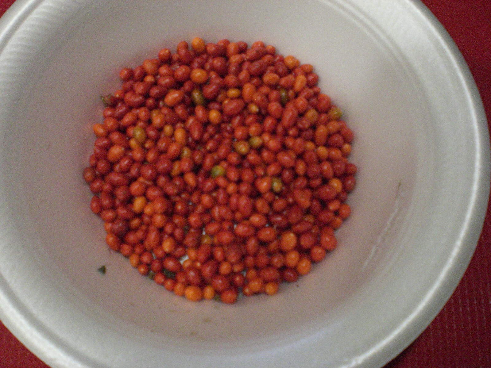 1000 seeds, semillas Chiltepin  PEQUIN Wild ChilE PepperS,PETIN,BRIGHT RED