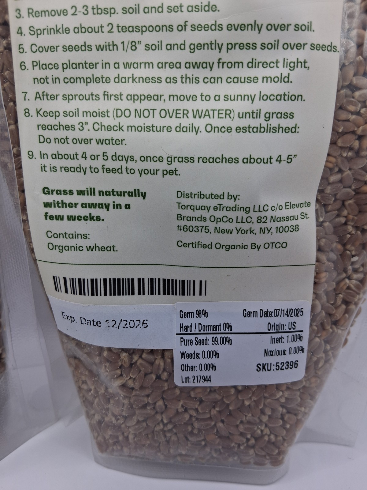 Rose & Branch Organic Wheat Grass Seeds – Cat Grass Seeds – 16Ounces – 100% O…