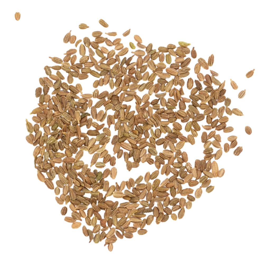 Scarlet Nantes Carrot Seeds For Planting (Daucus carota)