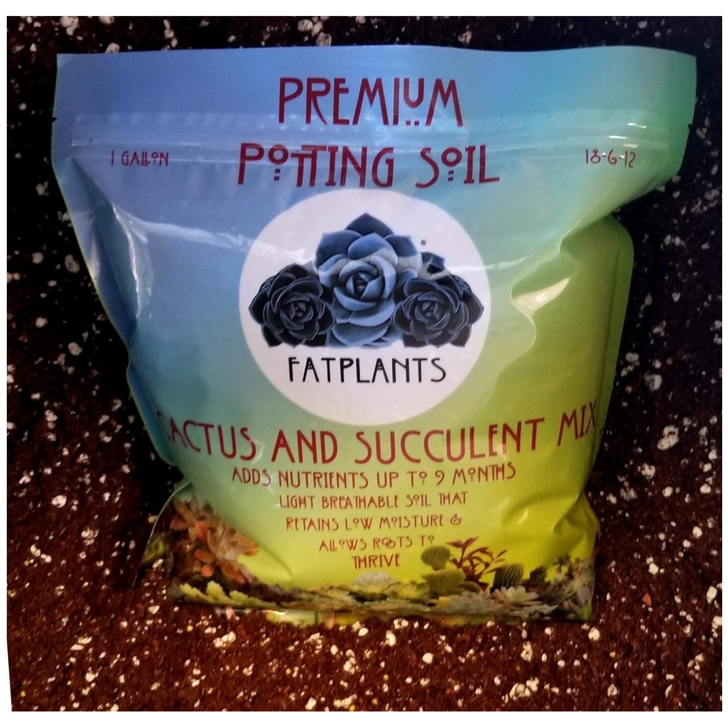 Succulent Potting Mix with Natural Fertilizer – 2 Gallons