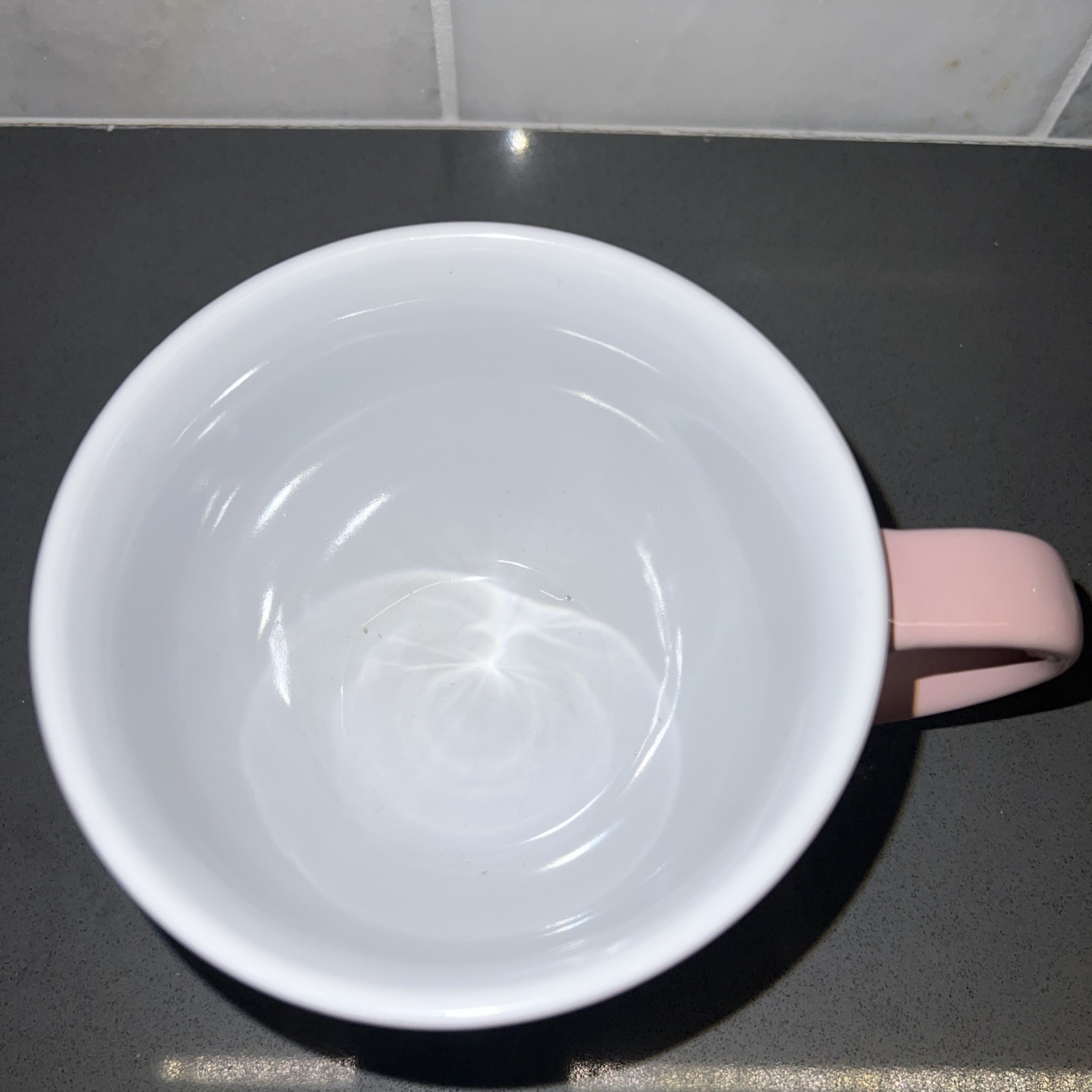 Crazy Plant Lady Large Mug