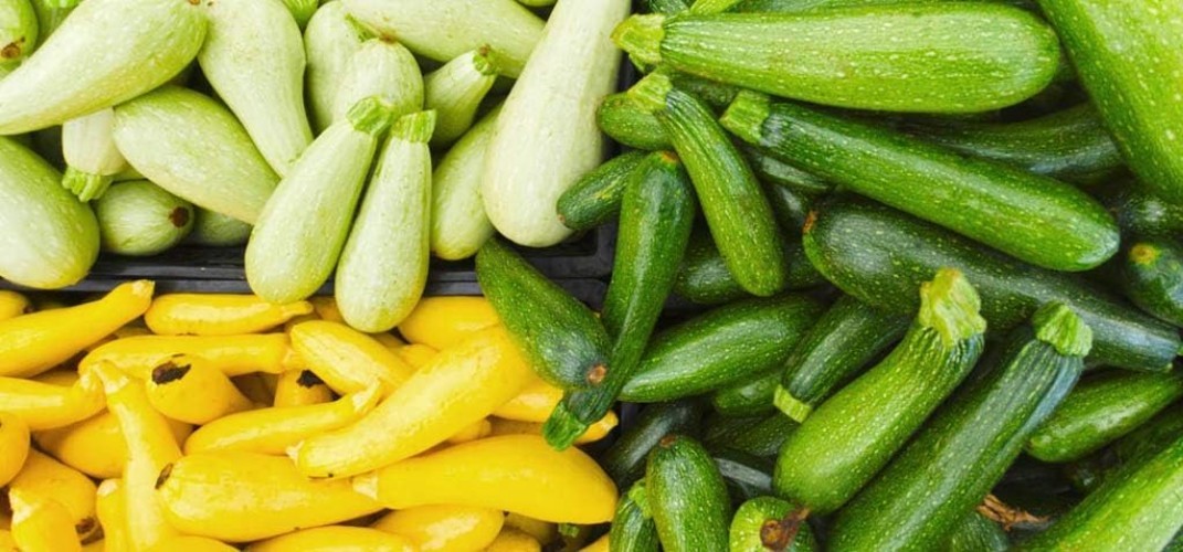 Rare 12 Variety Non-GMO Zucchini & Squash Seed Mix – 50 Seeds for Every Garden