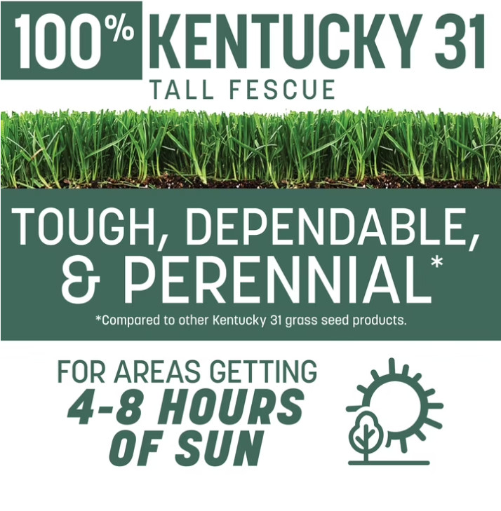 Pennington Kentucky 31 Tall Fescue Grass Seed Sun to Partial Shade 20 lb New