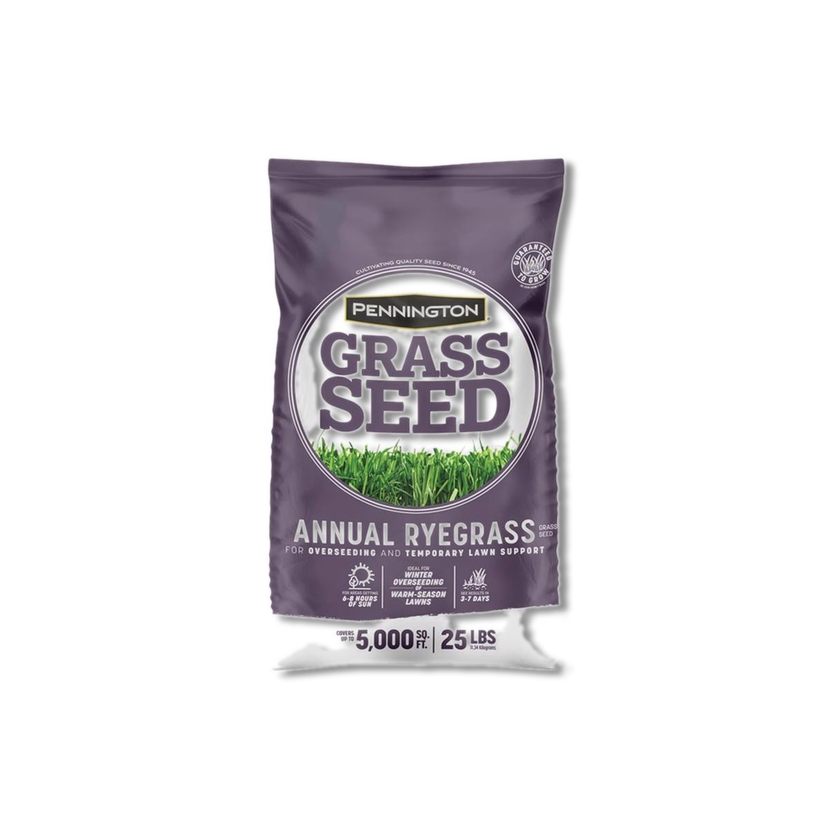 Pennington Annual Ryegrass Sun or Shade Grass Seed 25 lb 100082633