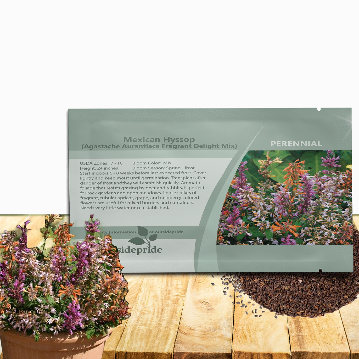 200 Seeds Agastache Aurantiaca Fragrant Delight Mexican Hyssop Flower Seed Mix