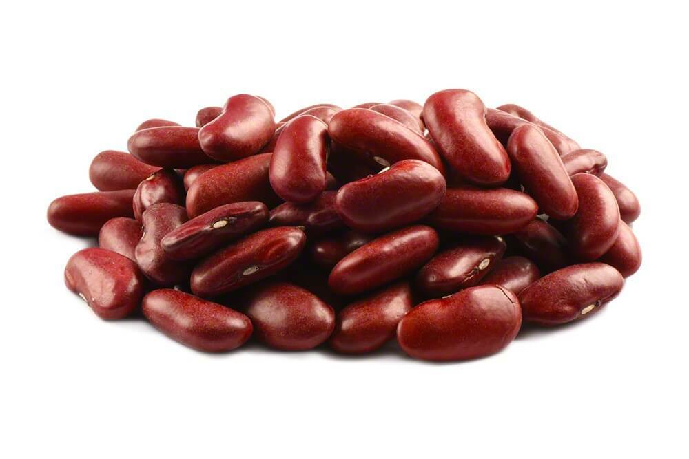 Bean Seeds: Dark Red Kidney Bean Seeds Fresh Seed FREE Shipping!!!!!