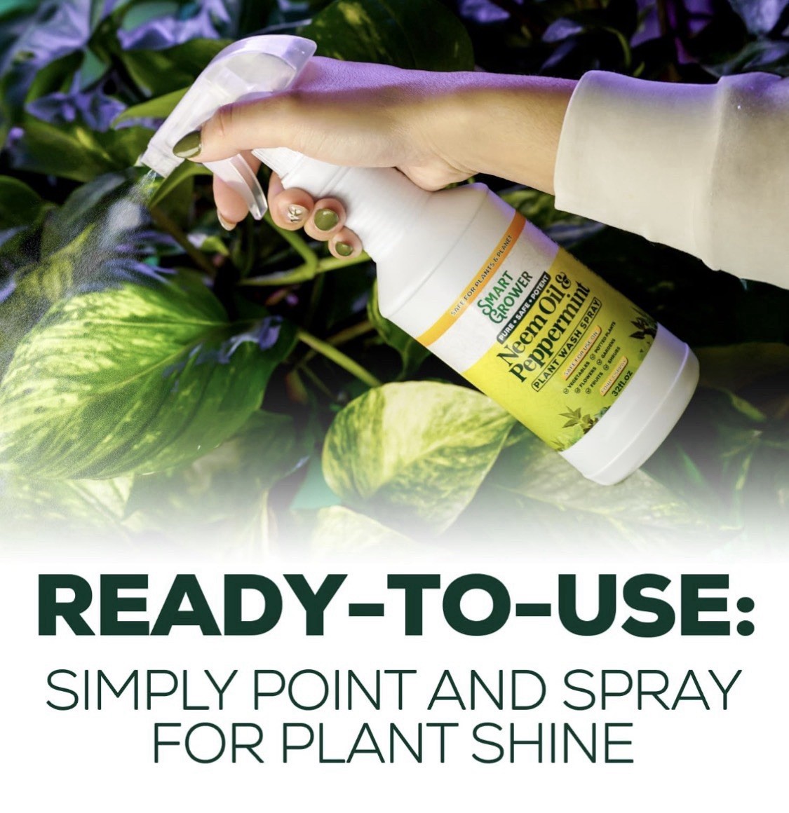 Neem Oil Spray for Plants with Peppermint Oil, Natural Plant Wash Made for In…