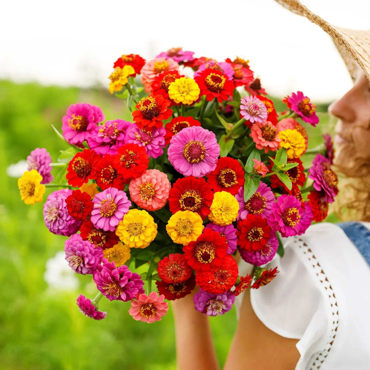 100 LILLIPUT ZINNIA FLOWER MIX SEEDS ~ heirloomseedguy ~ 2026 ~ NON-GMO