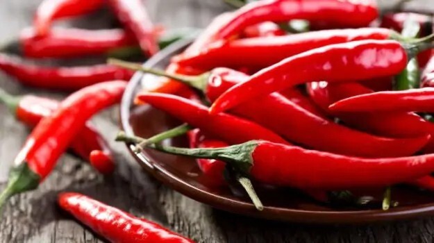 Guntur Sannam Hot Indian Chili Pepper 25-Seeds India 30,000+ Scoville SHU Unique
