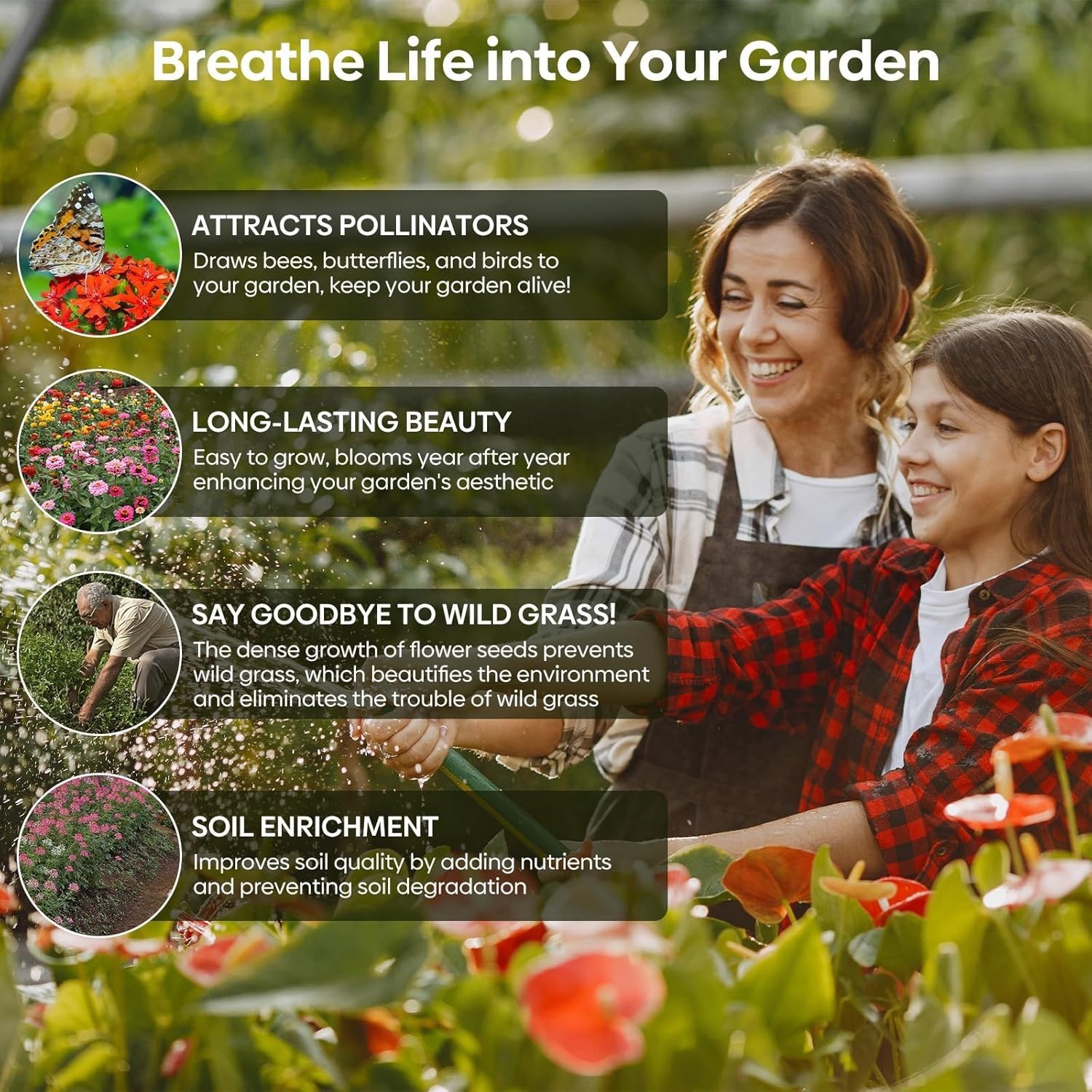 Eco-Friendly Wildflower Seeds for Gardens: Attract Hummingbirds & Butterflies