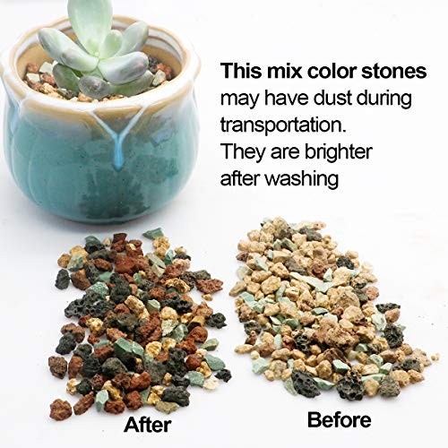 Horticultural Lava Rock Pebbles for Succulents & Cactus – 6lb Potting Soil Amend