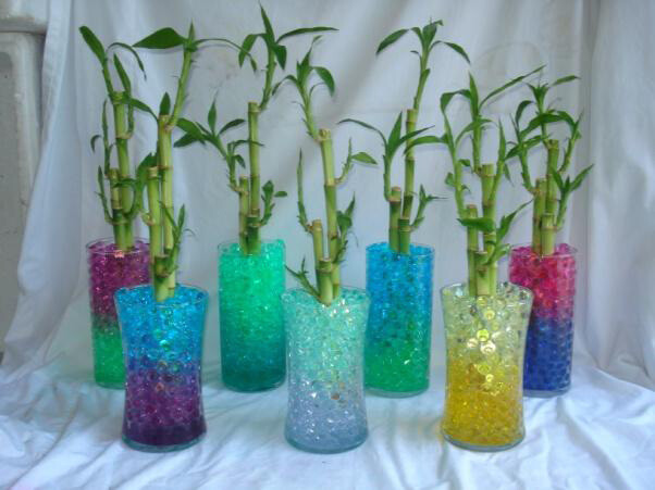 WATER BEADS for LUCKY BAMBOO PLANTS , hugs roots to reduce watering . 30 colors