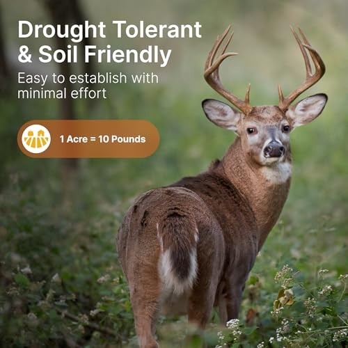 Premium Alfalfa & Clover Food Plot Seeds for Deer – Perennial Mix, 10 lbs – Spri
