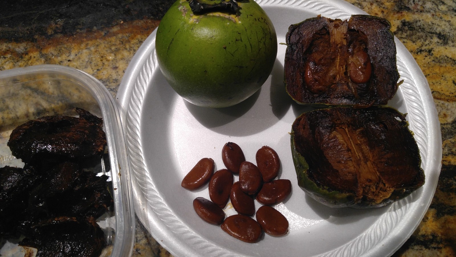 6 pc. seeds BLACK SAPOTE – Chocolate Pudding Fruit – Black Persimmon
