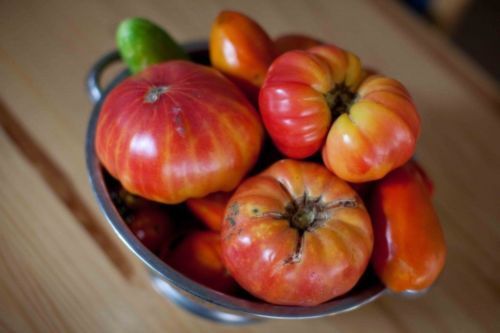 Tomato Mr. Stripey (Lycopersicon Esculentum) Great Garden Vegetable 200 Seeds
