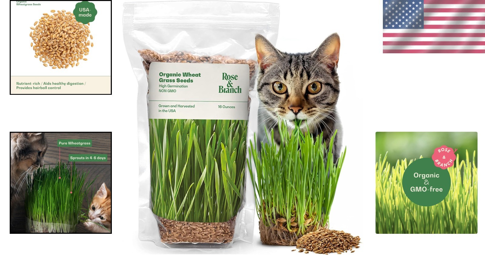 100% Organic Wheat Grass Seeds for Indoor Cats – Fast Growing & Nutritious 16 oz
