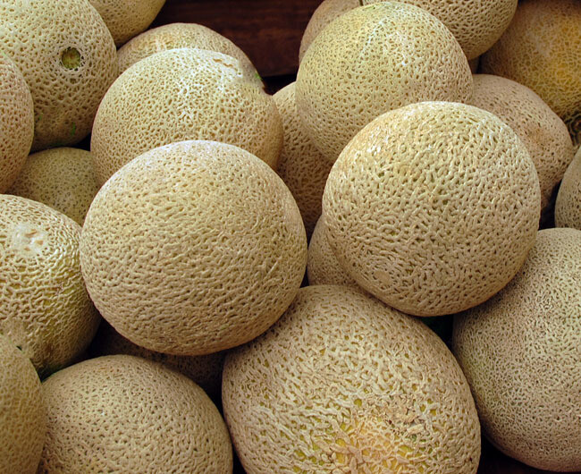 Honey Rock Cantaloupe Seeds 50+ Melon Fruit USA Seller NON-GMO FREE SHIPPING