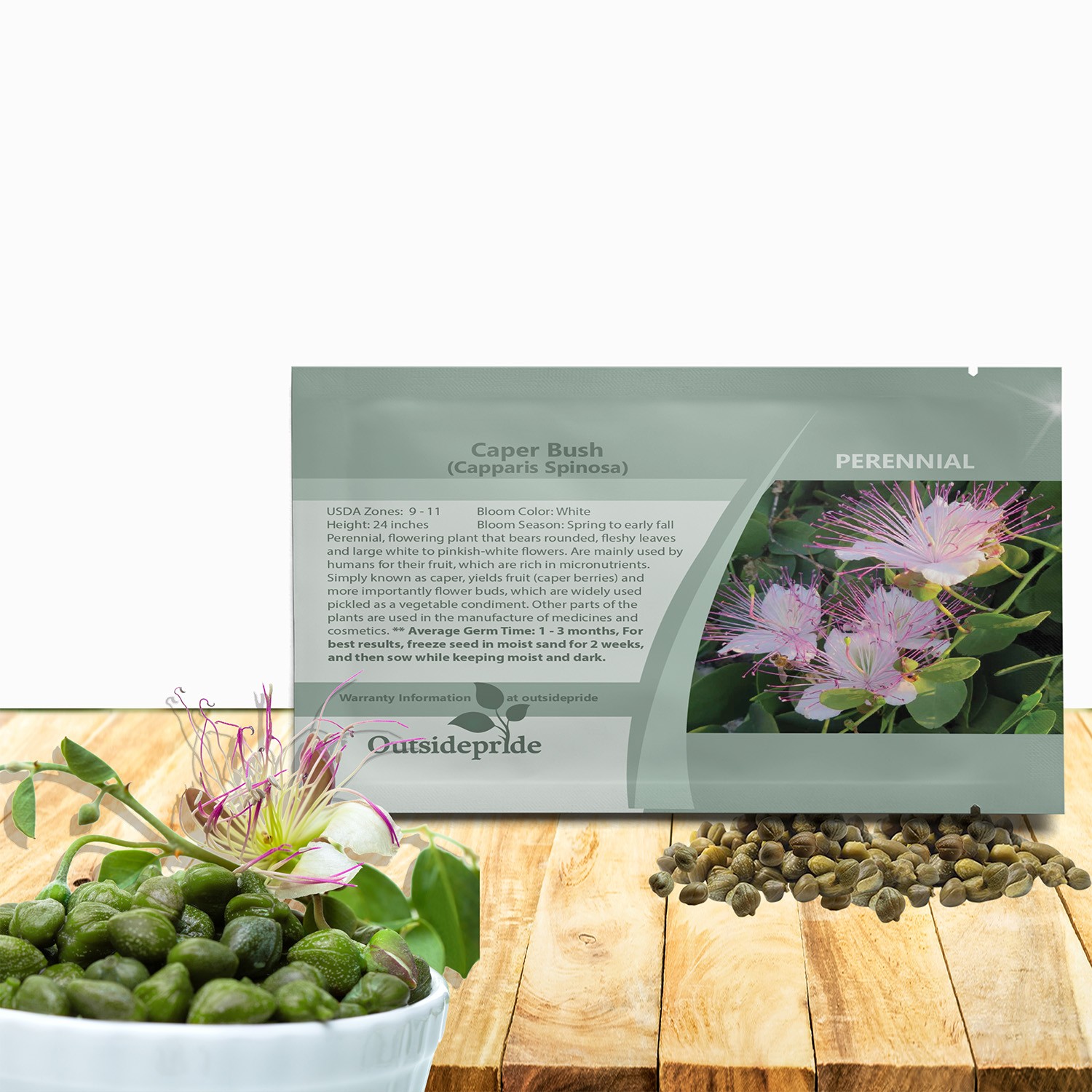 200 Seeds Capparis Spinosa Caper Bush Flower Seeds