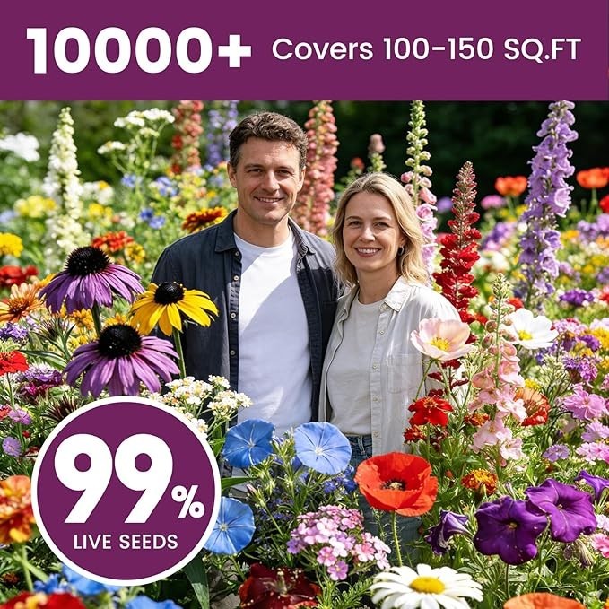 Wildflower Seeds Bulk 10000+, 1.06oz 21 Variety Perennial Mix, Multicolor