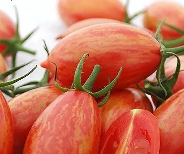 Tomato Pink Tiger 100 seeds