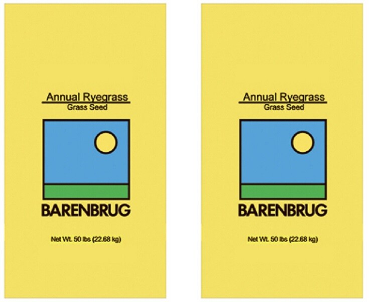 Barenbrug 491087 50 lb Bulk Annual Rye Ryegrass Grass Seed – 2 bags (100 lbs )