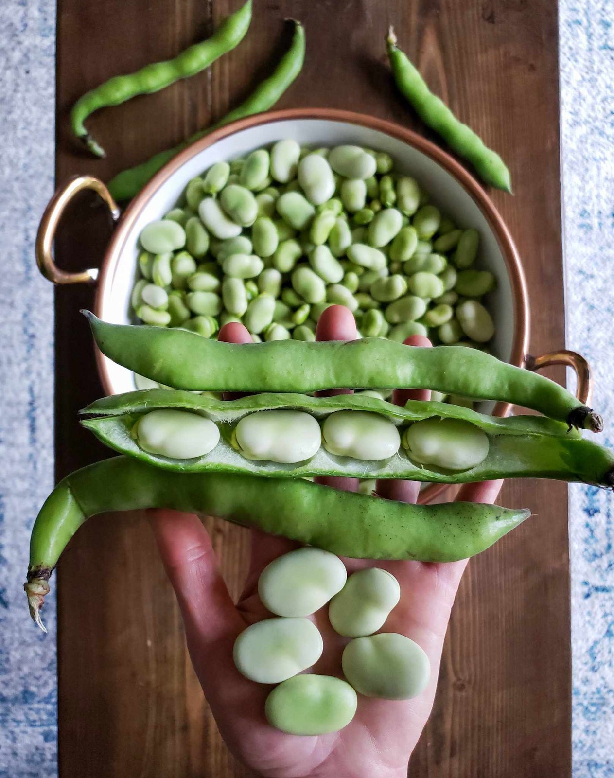 Aquadulce Fava Bean Seeds | Broad Windsor Faba Beans Lima Vegetable Seed 2024