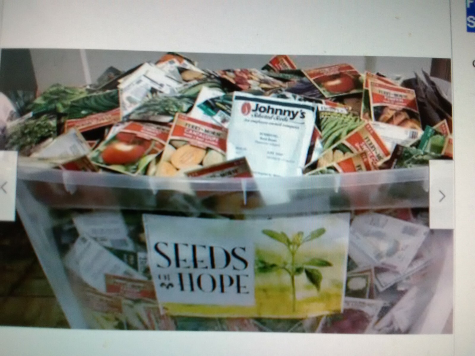 * 20 SEED PACKETS * YOU CHOOSE FROM *FLOWER, HERB OR VEGETABLE SEEDS*
