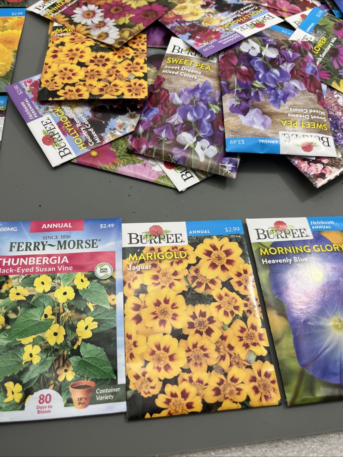 Flowers annual perennial Plant Seeds (Assorted Lot of 100) sell by 11/26 Garden