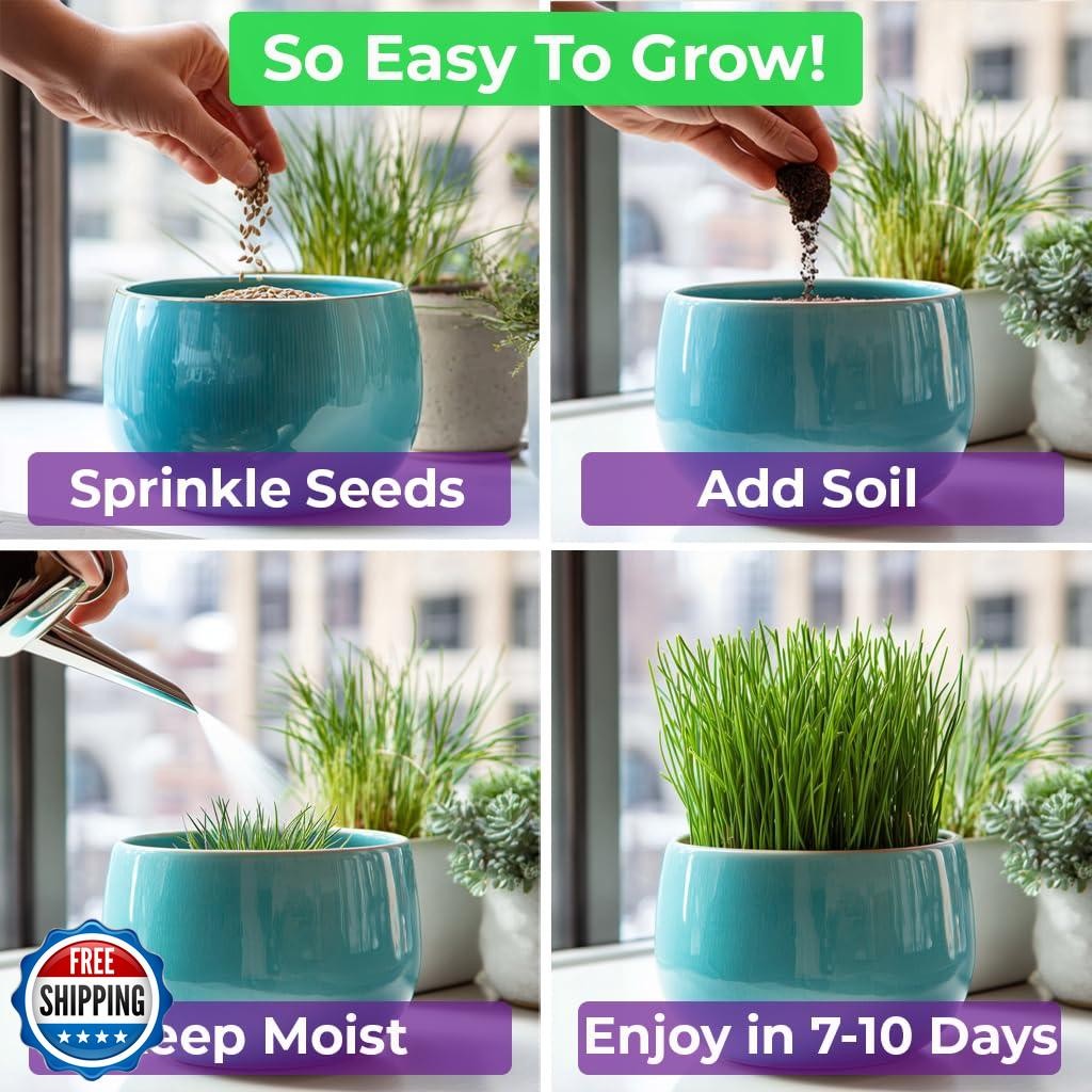 NatureZ Edge Premium Cat Grass Seeds for Indoor Cats, Non GMO – 1/2 lb Oat, W