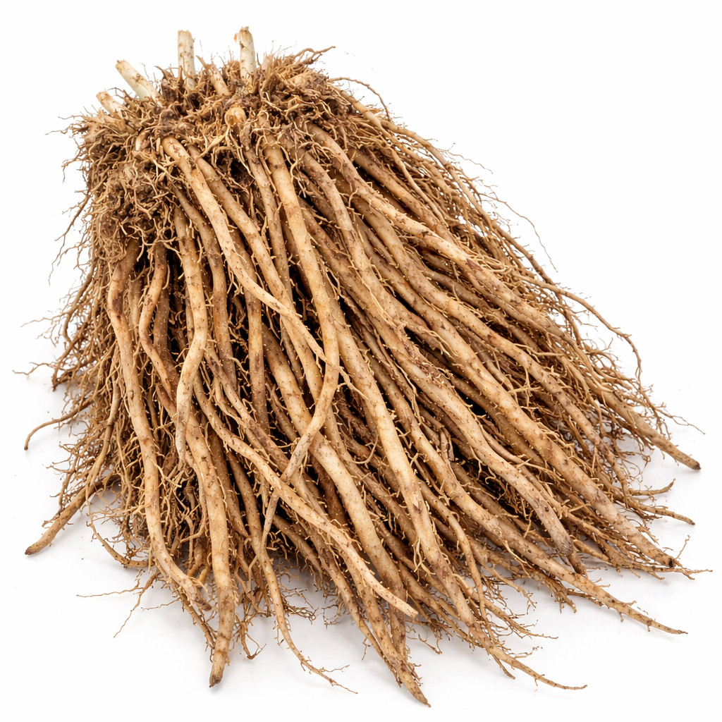 50 Purple Passion Live Asparagus Bare Roots – 2yr Crowns – Hand Picked Nursery