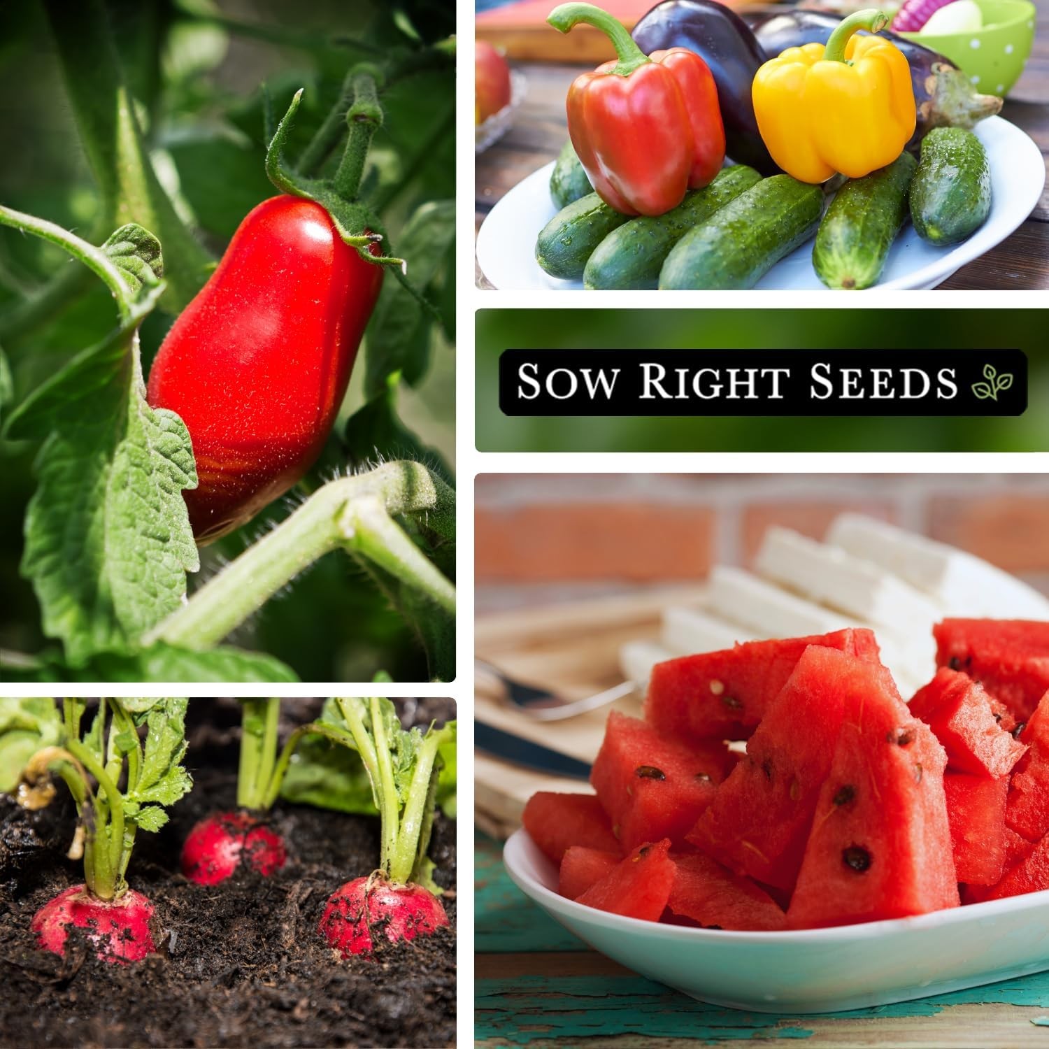 Sow Right Seeds Classic Vegetable Garden Seed Collection – Non-GMO Set