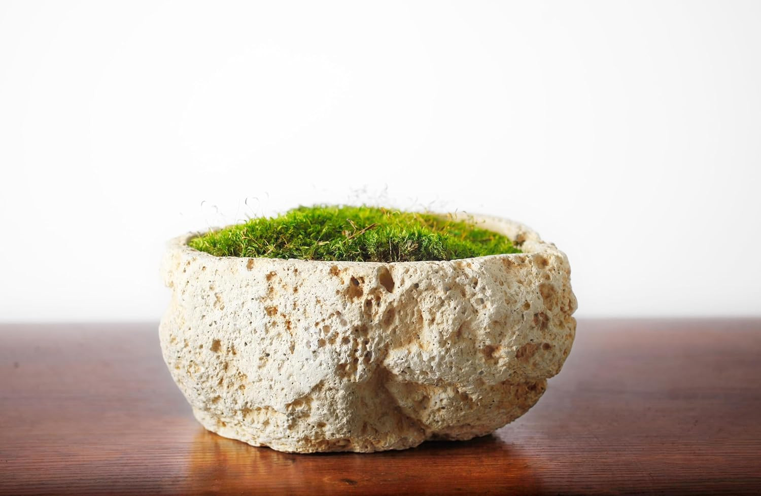 (21542) Mood Moss Preserved, Fresh Green, 4Oz
