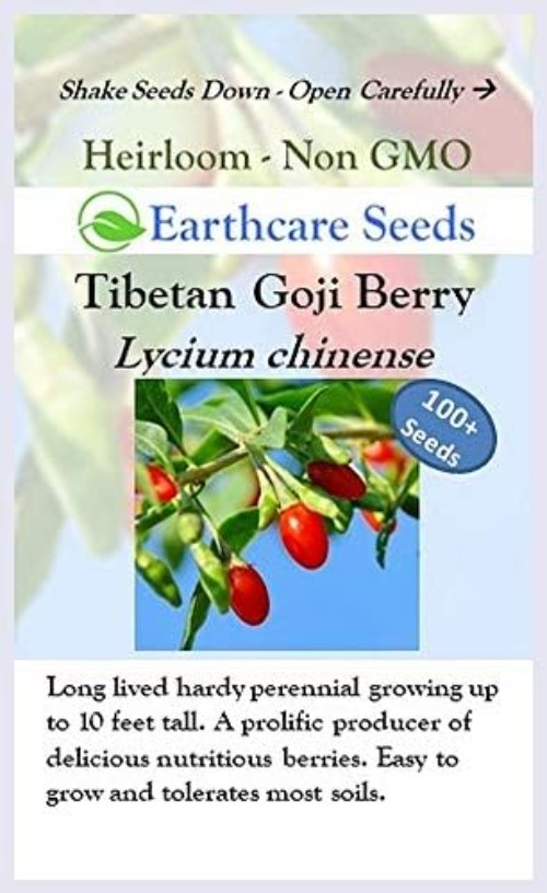 100 Open-Pollinated Goji Berry Seeds – Thriving Heirloom Shrubs for All Soils