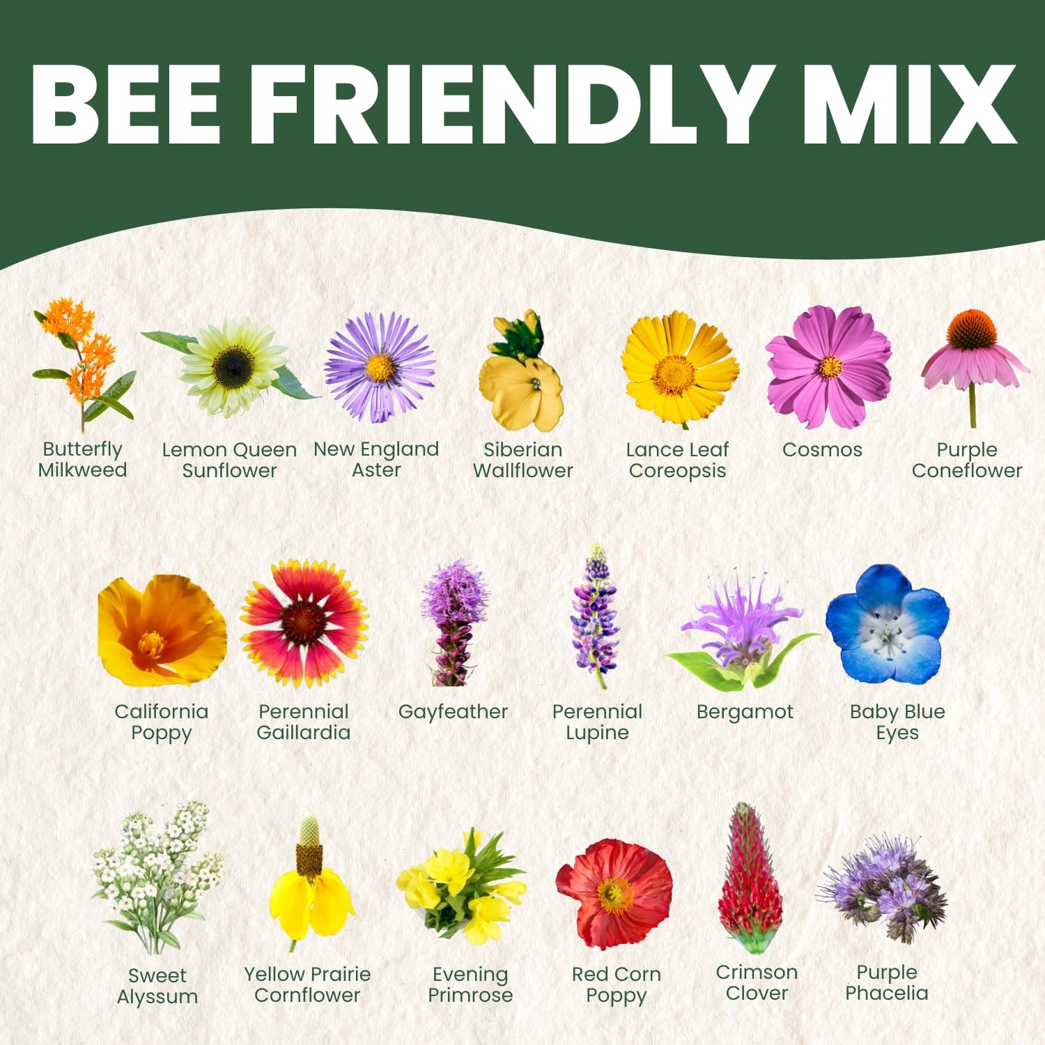 Bee Friendly Mix – 31,000 Seeds for Planting – 2026 Season – 4 Ounce Pouch