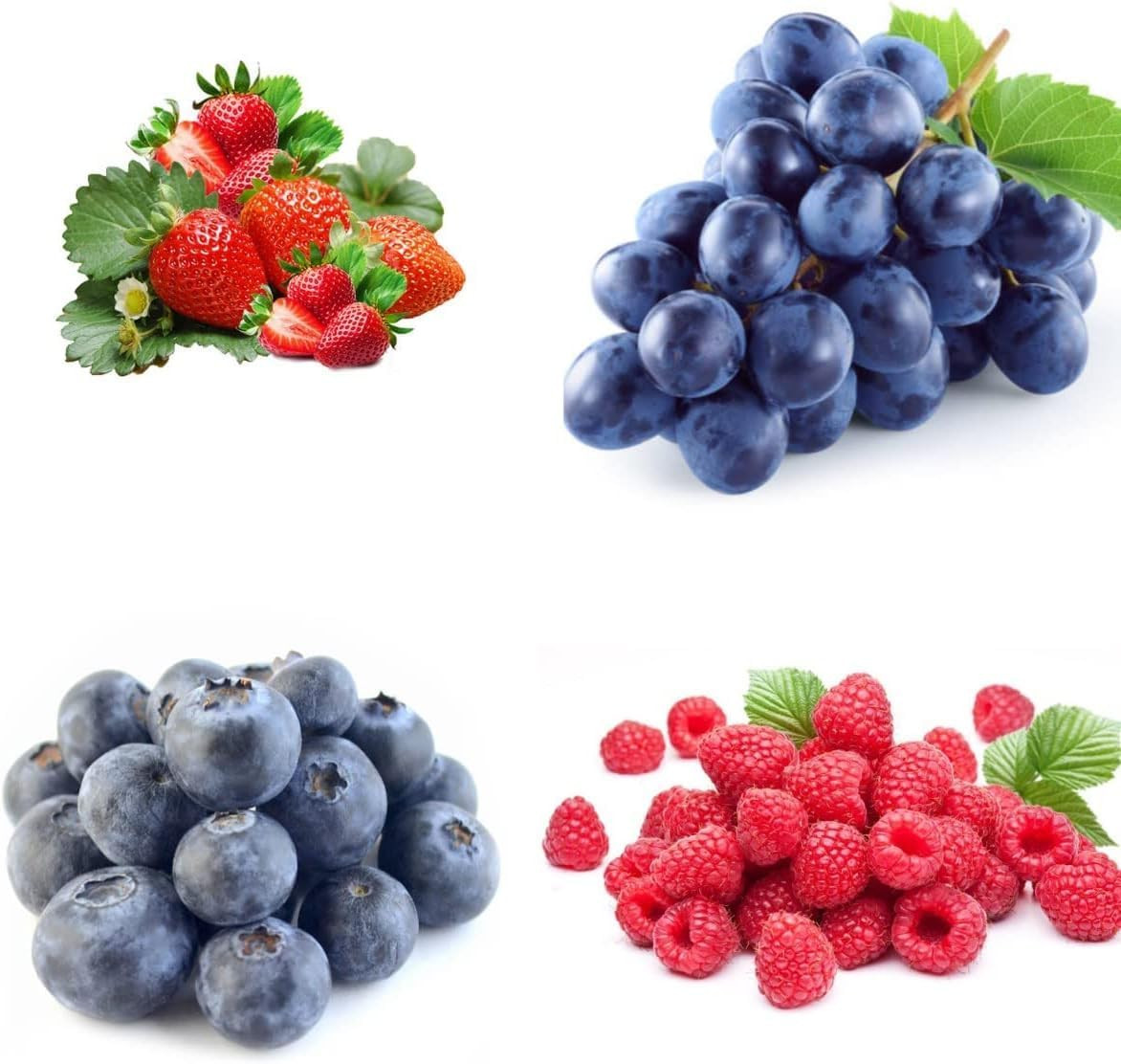 1000+ Mixed Fruit Seeds for Planting – Strawberry Raspberry Blueberry & Grape Se