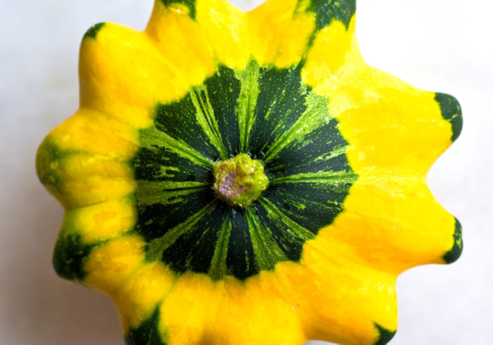 Yellow and Green Bicolor Patty Pan (Bush Scallop Squash) Seeds – 2025 Planting
