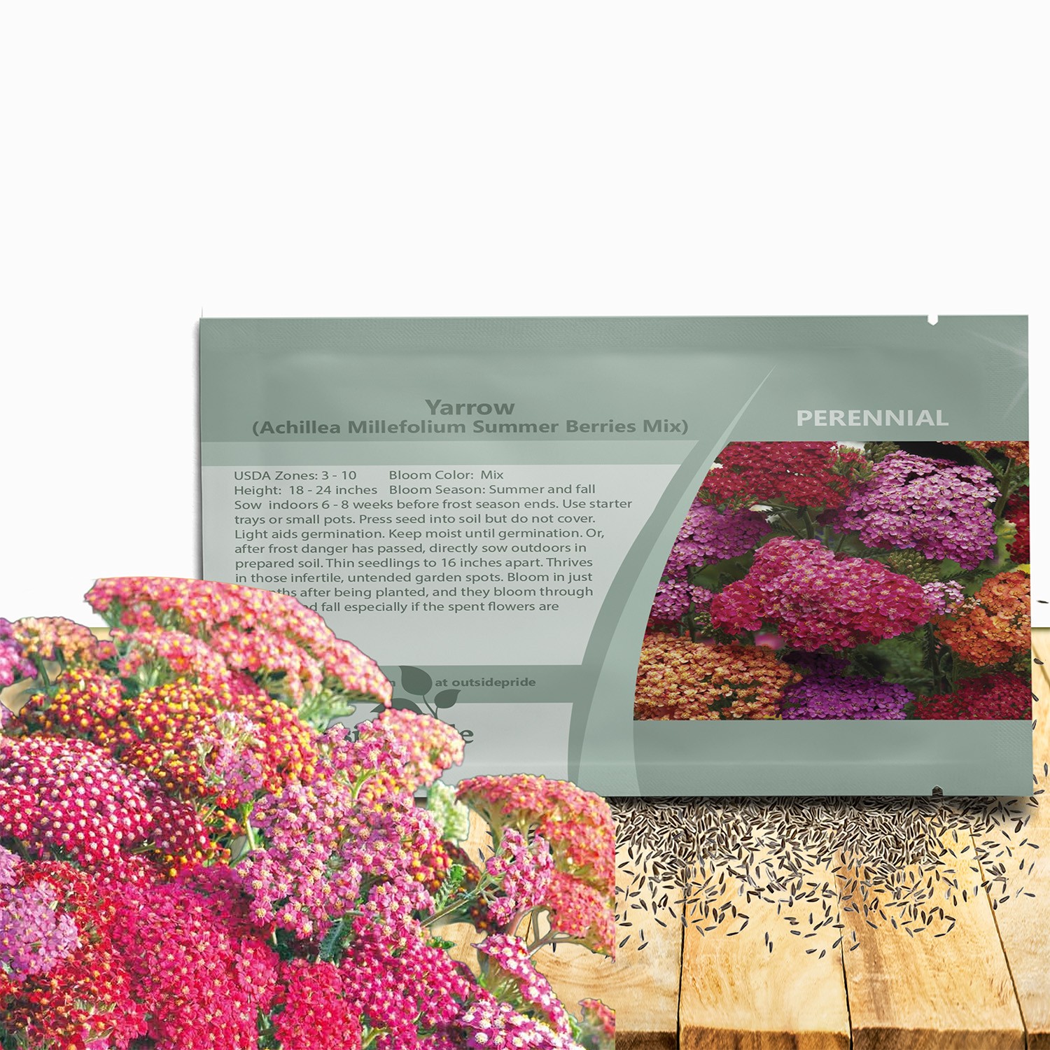 2000 Seeds Yarrow Seed Mix For Planting Outdoors – Achillea Summer Berries