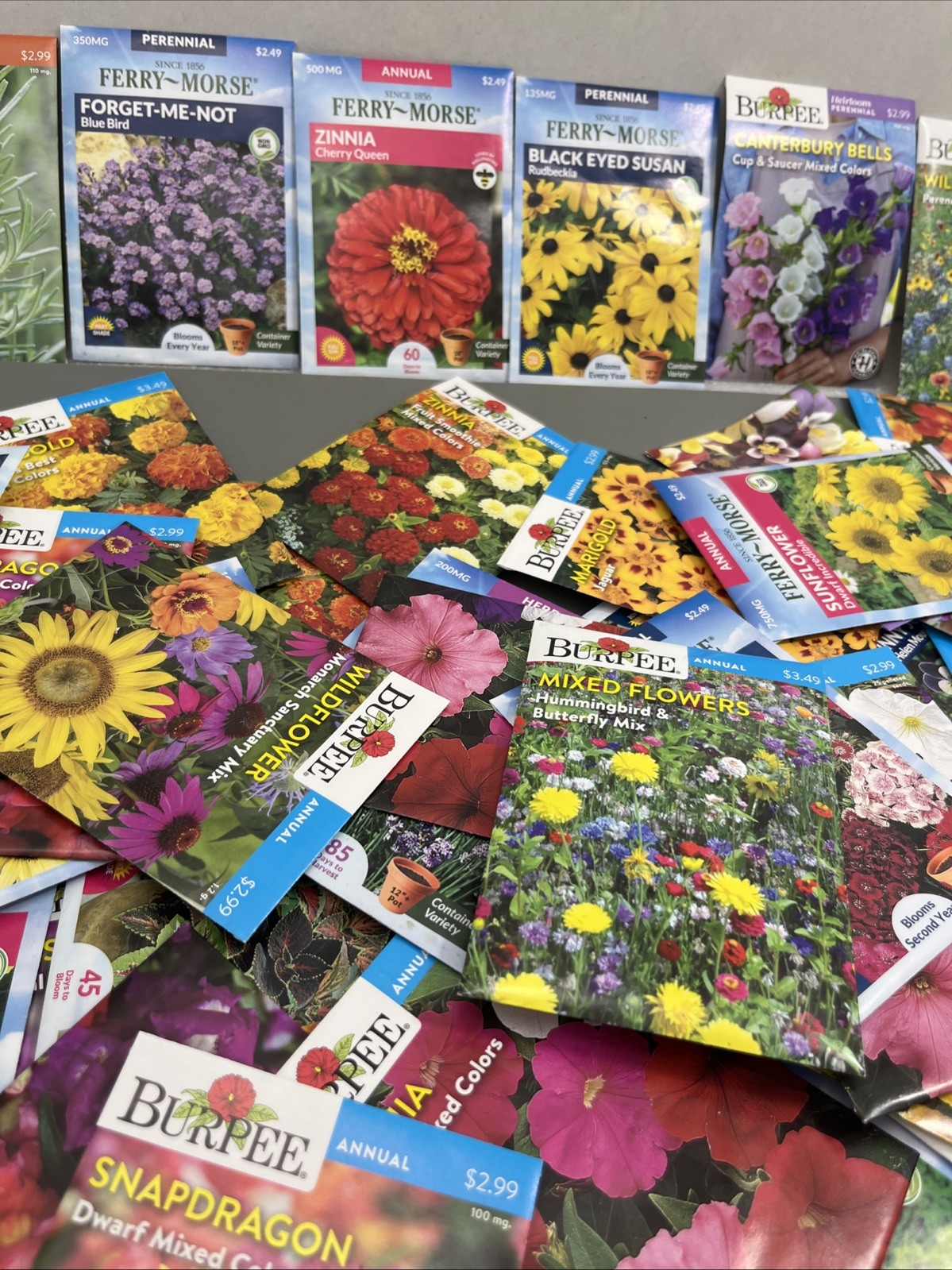 Flowers annual perennial Plant Seeds (Assorted Lot of 100) sell by 11/26 Garden