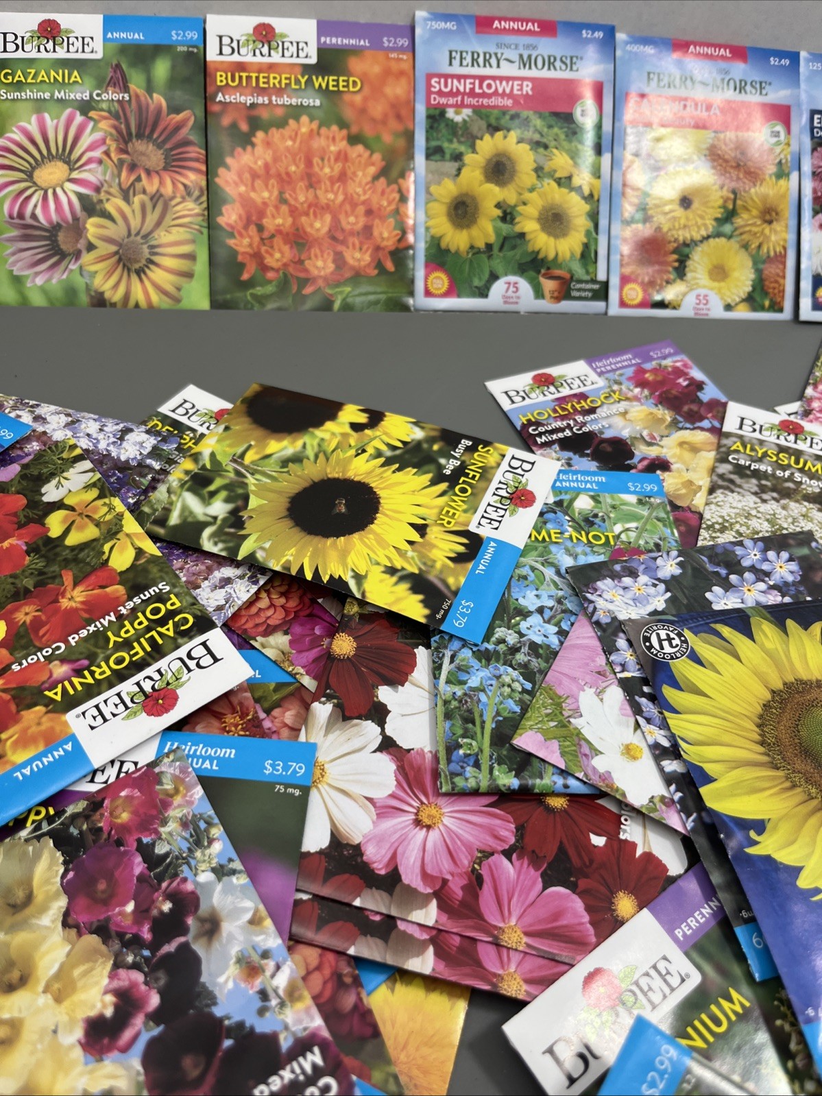 Flowers annual perennial Plant Seeds (Assorted Lot of 100) sell by 11/26 Garden
