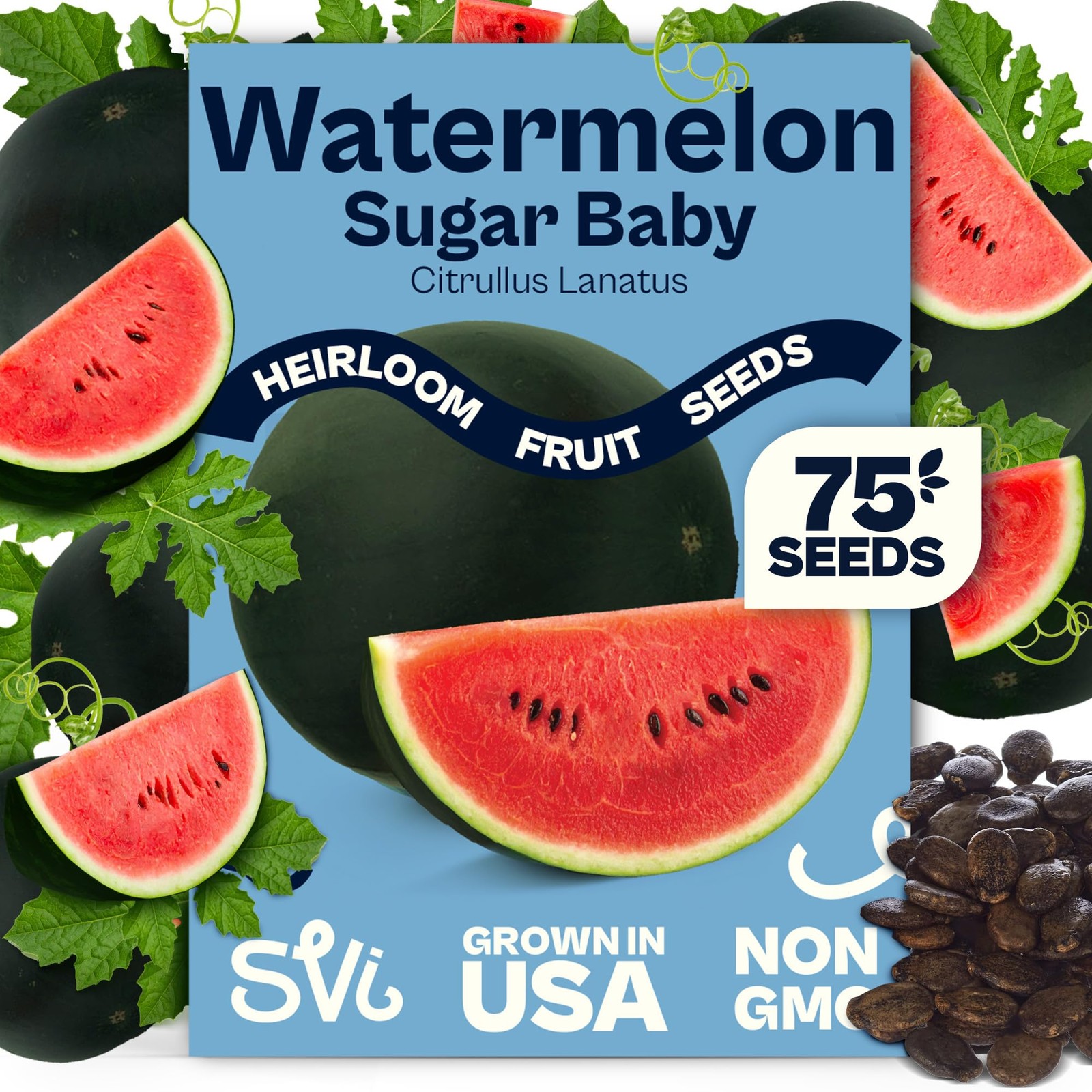 SVI 75 Sugar Baby Watermelon Seeds for Planting (Citrullus lanatus) – Green