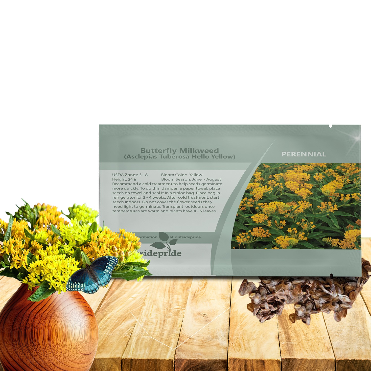 50 Seeds Drought Tolerant Butterfly Weed Asclepias Tuberosa Hello Yellow