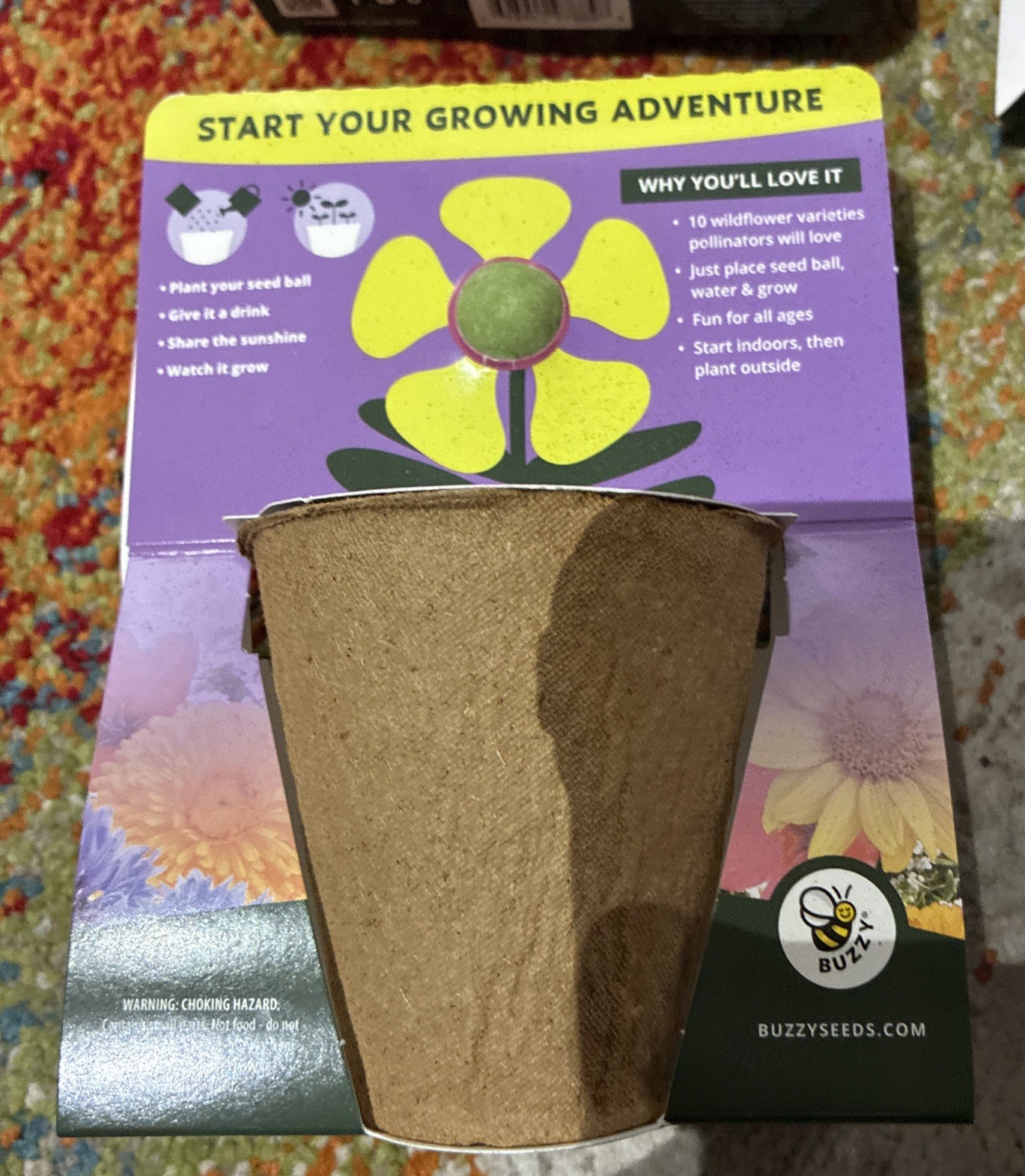 BUZZY Seeds Mini Pots 6 Pack with Plant Seeds For Wild Flowers!