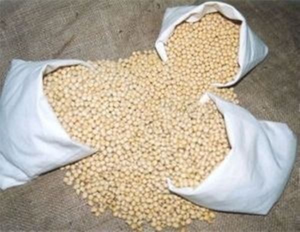 Seed Ranch Soybean Food Plot Seed “Certified” – 50 Lbs.