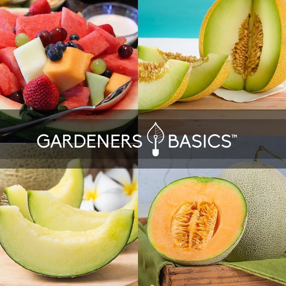 Cantaloupe, Watermelon Seed Pack