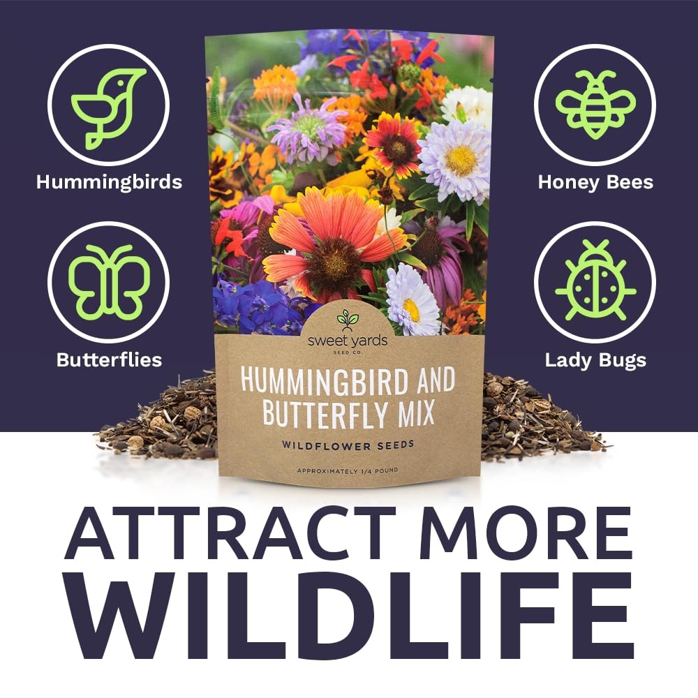 Bulk Wildflower Seeds Butterfly and Humming Bird Mix – 1/4 Pound Bag – Over 3…