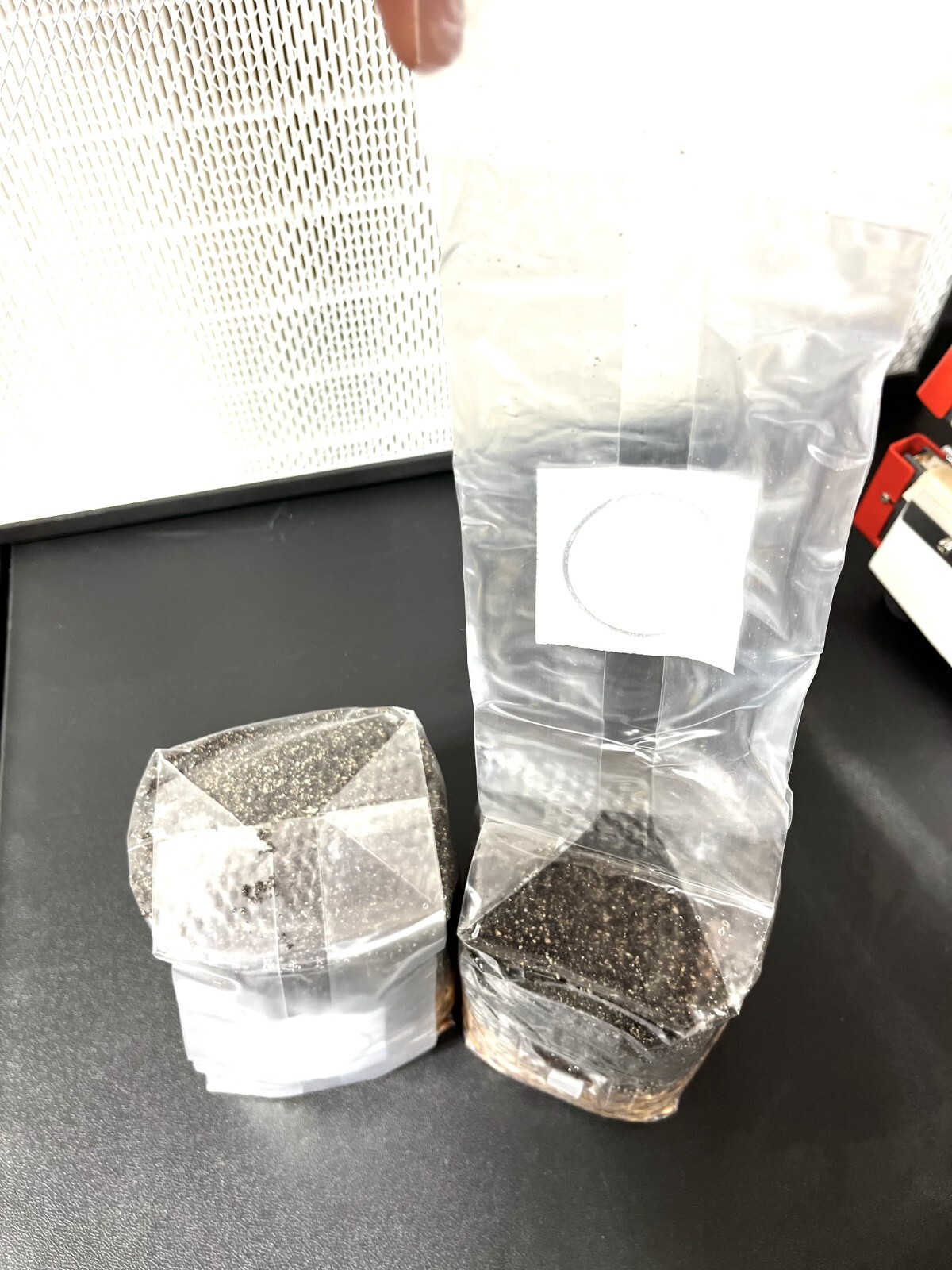 Magical 2lb All in One Mushroom Grow kit Pack of 2