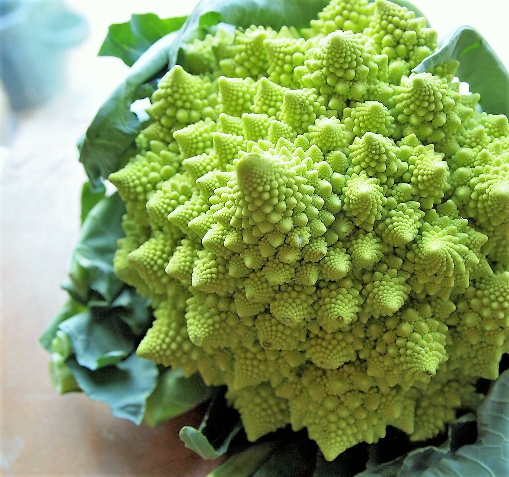 500 ROMANESCO BROCCOLI Broccoflower Cauliflower Brassica Vegetable Seeds *FlatSH