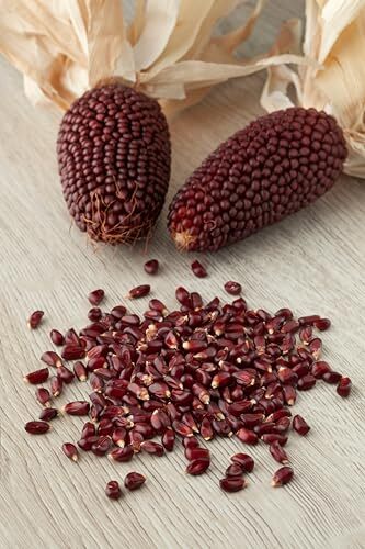 Smoke Camp Crafts Red Strawberry Popcorn Seeds (Zea mays), 200 seeds (16 grams)