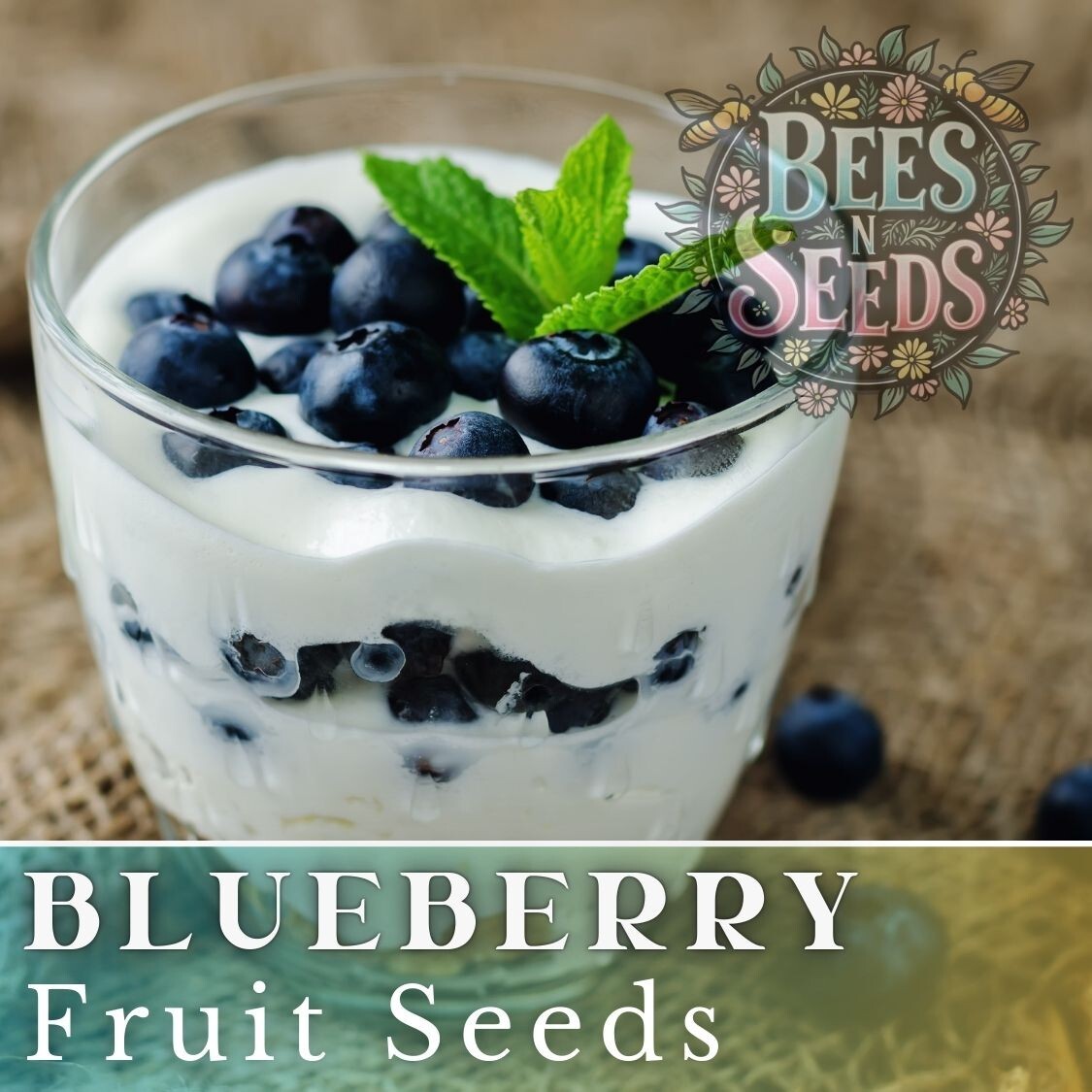 Blueberry Seeds 200, 750 or 3,200 Seeds Fruit Seeds, Non GMO, Bulk Seeds, Berry
